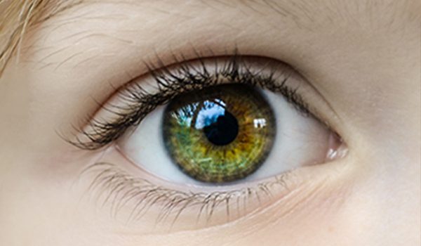 Retina Imagen Retina Imagen